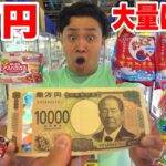1万円「クレーンゲームお菓子縛り」で子ども達のおやつを大量GET攻略できるか！？