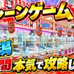 【緊急生配信】新潟のクレーンゲーム専門店で1時間本気の攻略LIVEします！　#クレーンゲーム  #ufoキャッチャー #ゲームセンター