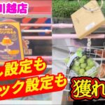 【大量に獲れる！】クレーンゲーム日本一獲れるお店で橋渡し設定とフック設定の景品の取るコツを紹介 【ベネクス川越店】 #2026年10月