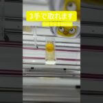 【クレーンゲーム】【#206】ちいかわ　うさぎ　橋渡し3手攻略