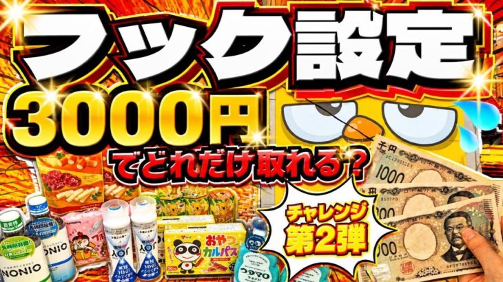 【クレーンマート一宮店】3000円で日用品・お菓子乱獲⁉激甘フック設定で今日も大量ゲットしてきた‼【クレーンマート】