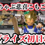 【初日ゴットン#346】修正ちゃぶ悲喜こもごも！クレーンゲーム攻略【#マンガ倉庫古賀店】