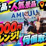【クレーンゲーム】【#34】新景品は順調だったのに…【AMUUU紀伊川辺店】