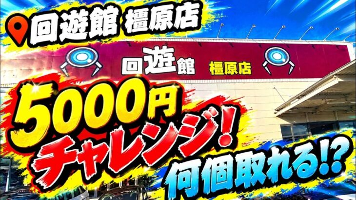 【クレーンゲーム】【#37】回遊館橿原店で5000円チャレンジ！フィギュア何体取れる！？【回遊館橿原店】