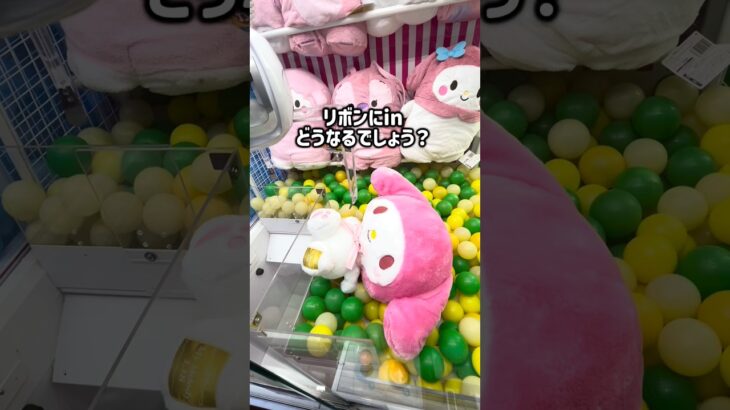 BIGな２つの景品❣️チャンネル登録お願いします❣️ #クレーンゲーム #ufoキャッチャー #clawmachine #ゲームセンター #ゲーセン #ぬいぐるみ #攻略 #sanrio #キティ