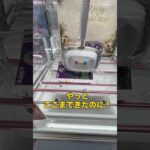 【橋渡し】やってしまった…！沼りかけたBLEACHフィギュアを執念の10手で攻略！#クレーンゲーム#橋渡し#BLEACH#ブリーチ#日番谷冬獅郎#UFOキャッチャー#プライズ#ニシの橋渡し研究所