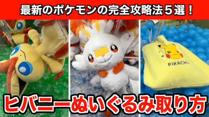 超簡単！ポケモン最新作のヒバニーのぬいぐるみなどGETするコツ５選！【クレーンゲーム】
