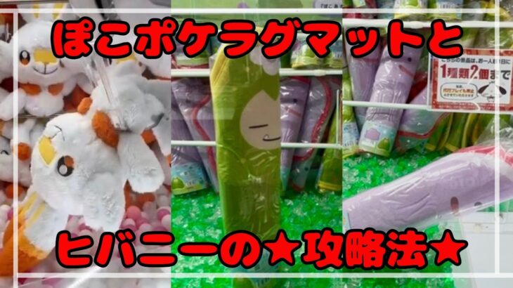【ぽこポケ】ラグマットはこう攻略せよ！ヒバニーも１発GETできるチャンスあり★　#ポケモン #pokemon #ぬいぐるみ #クレーンゲーム