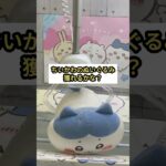 リアル！オンクレでハチワレのぬいぐるみをGETする瞬間 #オンクレ #ufoキャッチャー #クレーンゲーム