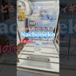 【 #クレーンゲーム 】Nachoneko ぬーどるストッパー #プライズ #ゲームセンター #ufoキャッチャー #フィギュア #shorts 橋渡し 倉庫系 ちゃぶ台 甘城なつき (CGS前橋)