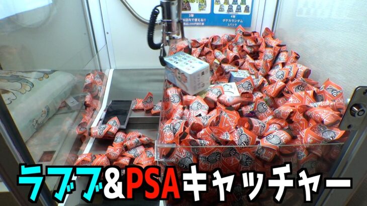 世にも珍しいラブブ&PSAキャッチャーやってみた【クレーンゲーム／UFOキャッチャー】