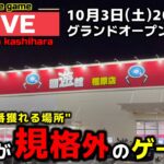 【クレーンゲーム】オープンから一年！全台無制限のヤバすぎる店で、チャンス台を探しあてます！【回遊館橿原店・UFOキャッチャー】