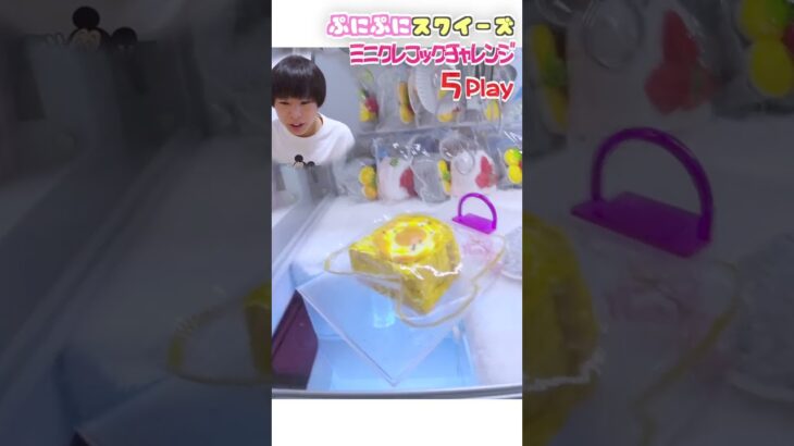 メロジョイ風スクイーズ‼️ミニクレ攻略してゲット😆🌟【ミニクレーンゲーム/UFOキャッチャー】