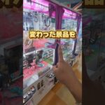 最近クレーンゲームで何でもあるけど、個人的に変わってるな〜って景品集めました☺#ゲームセンター #クレーンゲーム #UFOキャッチャー