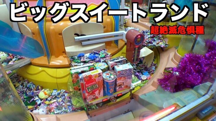 珍しいビッグスイートランドにて閉店間際の攻防【クレーンゲーム／UFOキャッチャー】