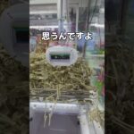 大量のガイコツたちを裏技で取ってみた#UFOキャッチャー #クレーンゲーム  #ゲームセンター #攻略 #shorts  #youtubeshorts