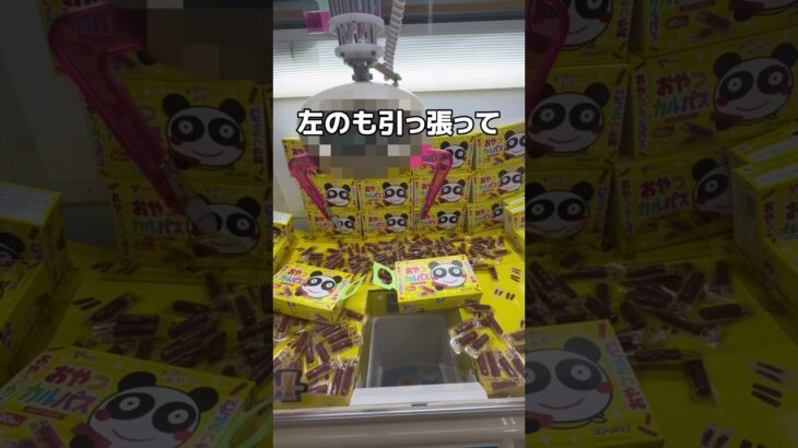 カルパスを大量に取りまくってみた#UFOキャッチャー #クレーンゲーム  #ゲームセンター #攻略 #shorts  #youtubeshorts