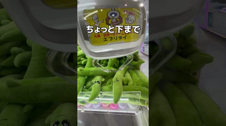 ハンバーガーとポテトをたくさん取ってみた#UFOキャッチャー #クレーンゲーム  #ゲームセンター #攻略 #shorts  #youtubeshorts
