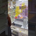 UFOキャッチャーで景品ゲットに挑戦！🧸🔥果たして無事に取れるのか！？最後まで見逃さないでね😳#UFOキャッチャー #クレーンゲーム #ゲームセンター #ゲーセン #景品ゲット #神引き