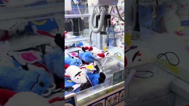 UFOキャッチャーで景品ゲットに挑戦！🧸🔥果たして無事に取れるのか！？最後まで見逃さないでね😳#UFOキャッチャー #クレーンゲーム #ゲームセンター #ゲーセン #景品ゲット #神引き