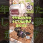 【あなたの夢はなんですか？】#YouTubeShorts #ショート動画#クレーンゲーム#ufoキャッチャー#ゲームセンター#ゲーセン#ぬいぐるみ#競走馬#G1#娯楽#prize#賞品#景品#プライズ