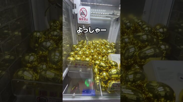 クレーンゲーム高額景品　　　　　　　　　#ゲームセンター #プライズ獲得 #games #クレーンゲーム