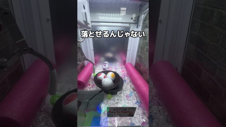 クレーンゲーム高額景品　　　　　　　　　　#ゲームセンター #プライズ獲得 #games