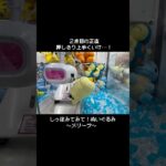 【再戦】逃げられたメリープを再び捕まえに行く！攻略法はあるのか…！？　#ポケモン#pokemon #ポケットモンスター #クレーンゲーム#ぬいぐるみ