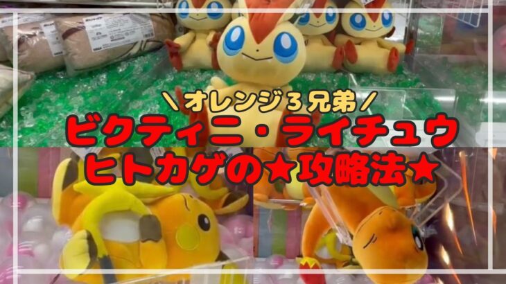 【オレンジ３兄弟】基本ワザなどで攻略できちゃう！今週は平和なポケモンたち～ビクティニ・ヒトカゲ・ライチュウ～　#ポケモン #pokemon #ぬいぐるみ #クレーンゲーム