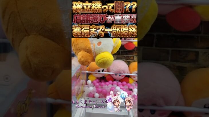 【確率機の闇】店舗選びを間違えると詰む…！？優良店と大手ゲーセンの決定的な違い【回遊館伊勢崎】【ももくま】 #shorts #確立機 #クレーンゲーム #攻略