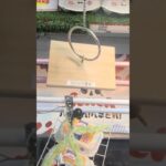 ベネクス川越店でさがみっこ卵の景品をゲット #shorts