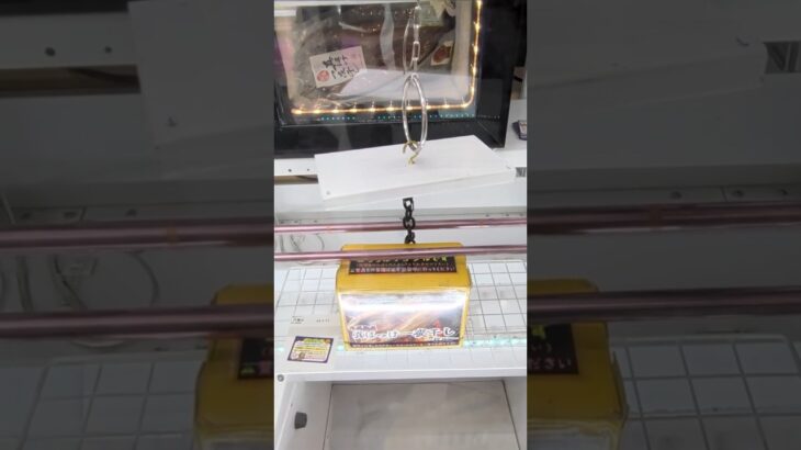 万代書店川越店でホッケの一夜干しの景品をゲット #shorts