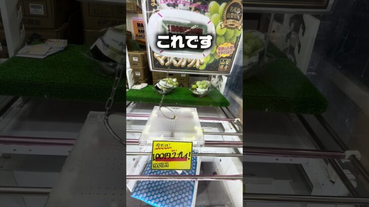 超神設定！？高級シャインマスカットとメロンを獲りまくり！【クレーンゲーム】#shorts