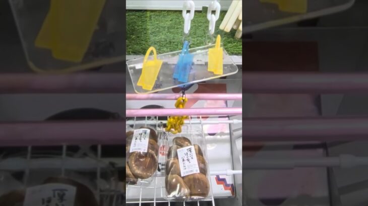 ベネクス川越店のクレーンゲームで生しいたけの景品をゲット #shorts