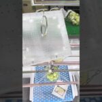 万代書店川越店のフック台でナイアガラのぶどうの景品をゲット #shorts
