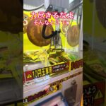 コラ！どこでポイってしてんの #shorts  #cranegame  #フック #夾娃娃機 #ゲームセンター ＃ゲーセン＃倉庫系 #クレーンゲーム #グミ #バズれ