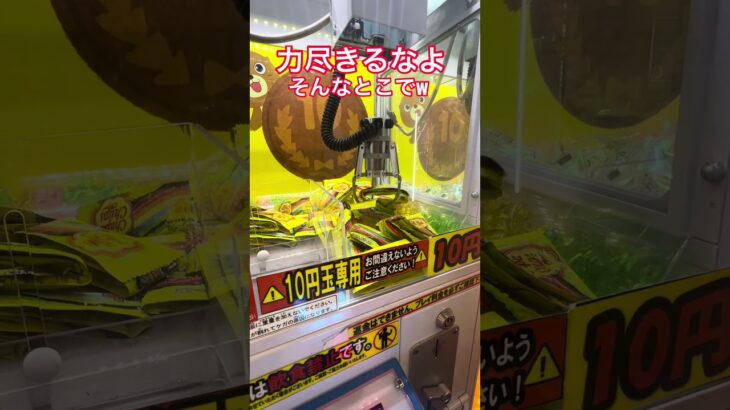 コラ！どこでポイってしてんの #shorts  #cranegame  #フック #夾娃娃機 #ゲームセンター ＃ゲーセン＃倉庫系 #クレーンゲーム #グミ #バズれ
