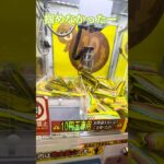 掴めなくてぴえん #shorts  #cranegame  #フック #夾娃娃機 #ゲームセンター ＃ゲーセン＃倉庫系 #クレーンゲーム #グミ #バズれ