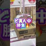 爪の角度が水平に近い程、キャッチしやすいから是非やってみてね😁👍✨#shorts #クレーンゲーム #ufoキャッチャー