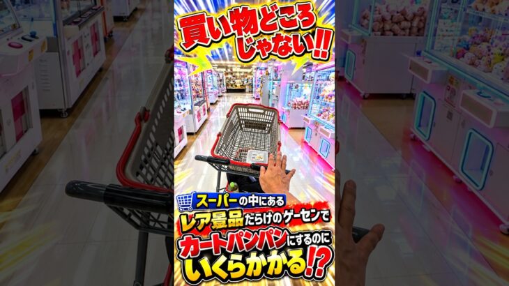 ママ本当にごめんなさい  #shorts  #クレーンゲーム #ufoキャッチャー # ゲーセン #ゲームセンター #arcade