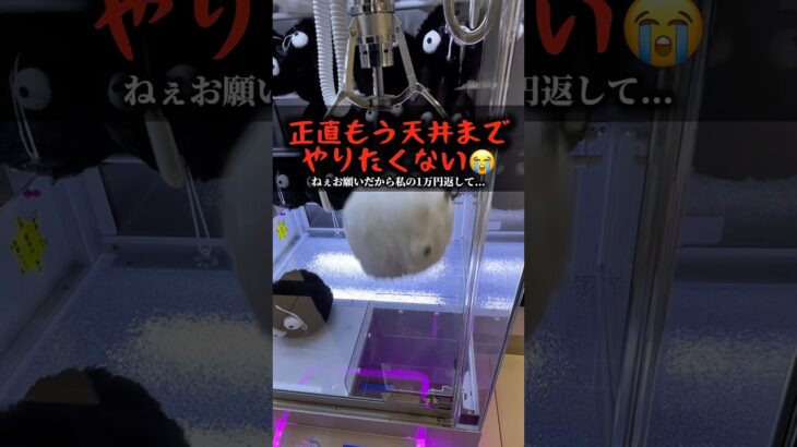これ覚えたら３本爪１００円で取れるかも😏　#shorts #youtubeshorts #クレーンゲーム #ufoキャッチャー #裏技