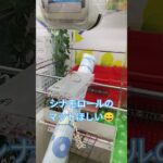 フック🪝むずかしい😂 #クレーンゲーム #アミューズメント限定 #ゲームセンター #クレーンゲーム攻略 #ufoキャッチャー #ゲーセン #シナモロール