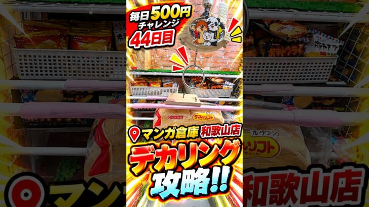 【ノーカット】マンガ倉庫和歌山店デカリング攻略！毎日５００円チャレンジ４４日目 #ufoキャッチャー #フック#クレーンゲーム #ゲームセンター #マンガ倉庫和歌山店