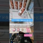 【クレーンゲーム】スライドしようと思って狙ってみた結果がエグかったの巻 #クレーンゲーム #ufoキャッチャー #プライズ獲得 #クレーンゲーム攻略 #ゲームセンター