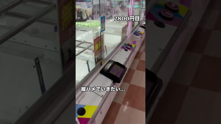 はじめて橋渡しを攻略した日 #クレーンゲーム #クレゲ #ufoキャッチャー #チェンソーマン