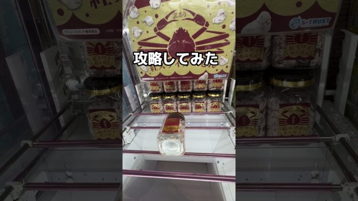 クレーンゲーム攻略　　　　　　　　　　　#クレーンゲーム #プライズ獲得 #ufoキャッチャー
