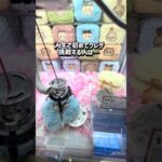 【ちいかわ】店員さんいつもありがとうございます❣️チャンネル登録お願いします❣️ #ゲームセンター #クレーンゲーム #ゲーセン #ufoキャッチャー #ちいかわ #chiikawa #攻略