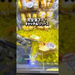 クレゲ上手くなりたい人チャンネル登録お願いします！ #クレーンゲーム #ufoキャッチャー #ゲームセンター #ゲーセン #clawmachine #スクイーズ #攻略