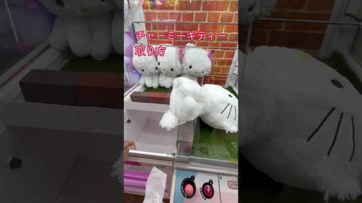 【クレーンゲーム】 #クレーンゲーム #ufoキャッチャー #clawmachine #ぬいぐるみ #gigo #ラウンドワン #clawmachinewin #キティ