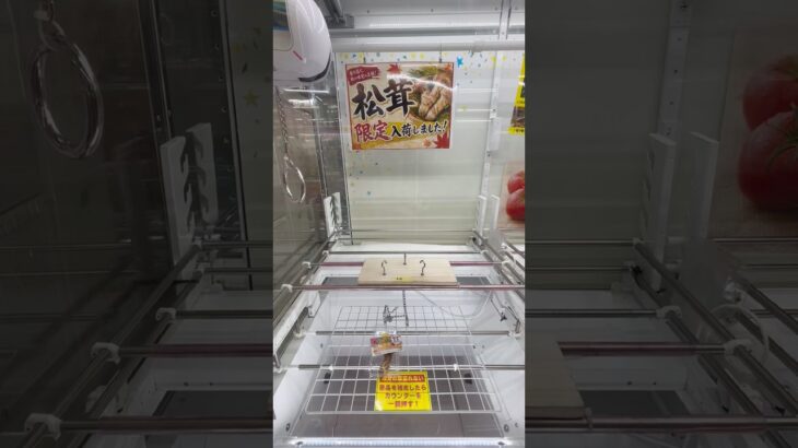 ☆クレーンゲームの中に松茸？！松茸まで景品になりだした！☆#ufoキャッチャー #クレーンゲーム #clawmachine #인형뽑기 #夾娃娃機 #shortsvideo #shorts